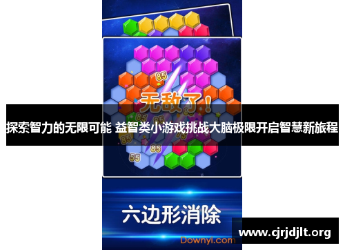 探索智力的无限可能 益智类小游戏挑战大脑极限开启智慧新旅程